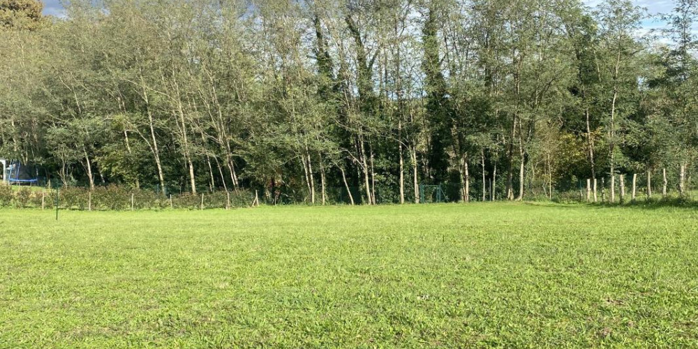 terrain à MONTFORT EN CHALOSSE (40380)